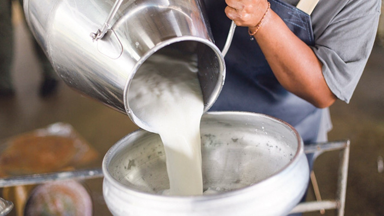 “Süt üretiminde plan ve programa gereksinim var”