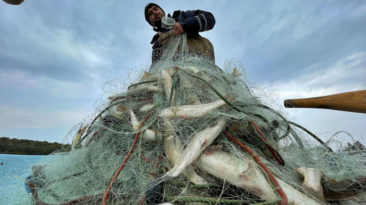 Balıkçılar mazotu yarı fiyatına istiyor